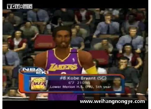 2012年NBA球员名单回顾及其职业生涯轨迹分析