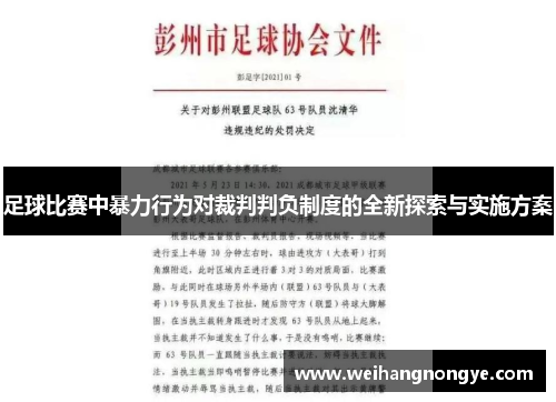 足球比赛中暴力行为对裁判判负制度的全新探索与实施方案